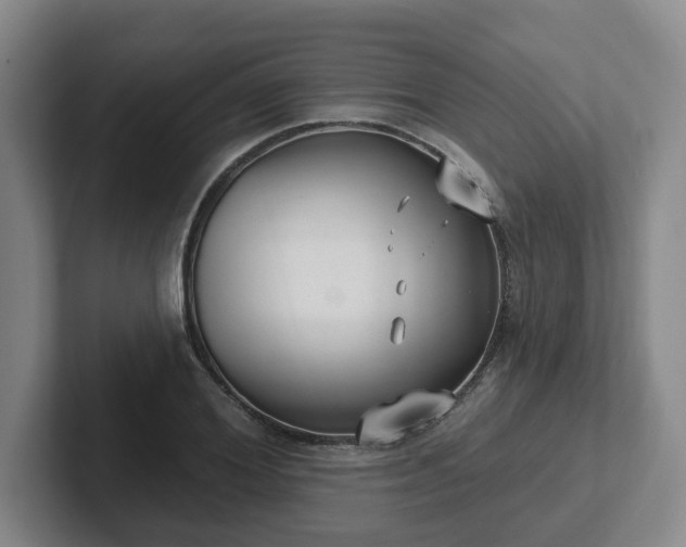 X0000102530980200808151551