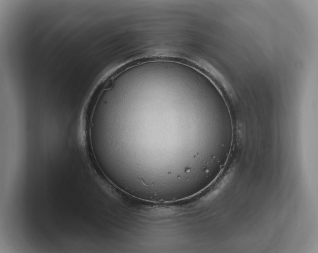 X0000102530981200808151551