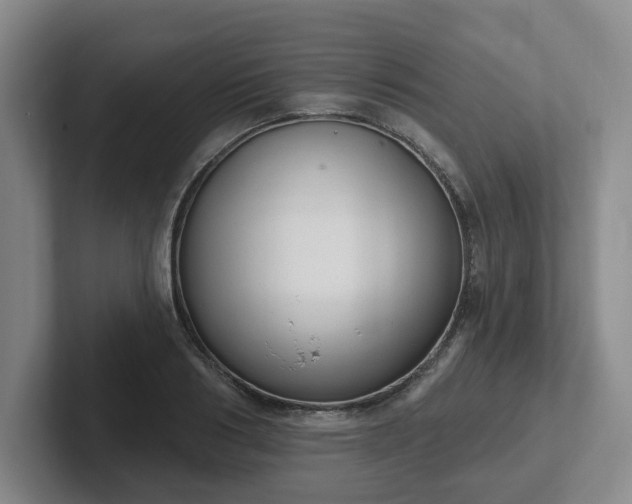 X0000102530986200808151551