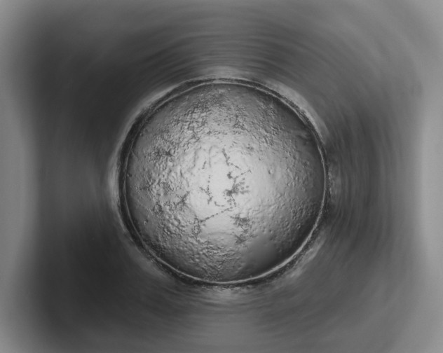 X0000102530987200808151551