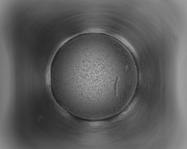 X0000102530988200808151551