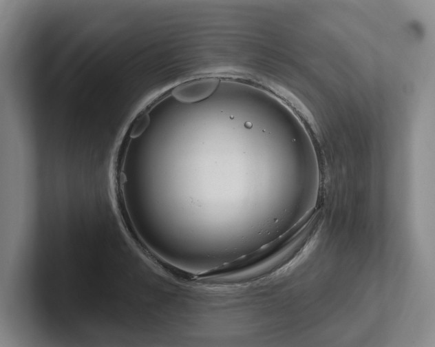 X0000102530989200808151551