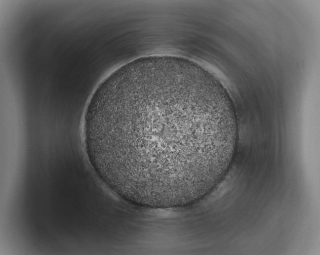 X0000102530990200808151551