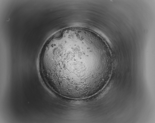 X0000102530991200808151551