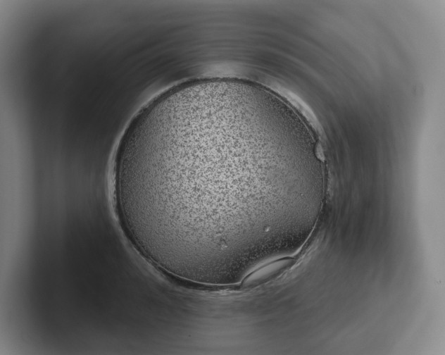 X0000102530992200808151551