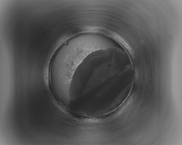 X0000102530994200808151551