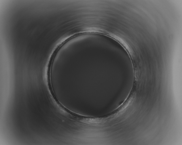 X0000102530995200808151551