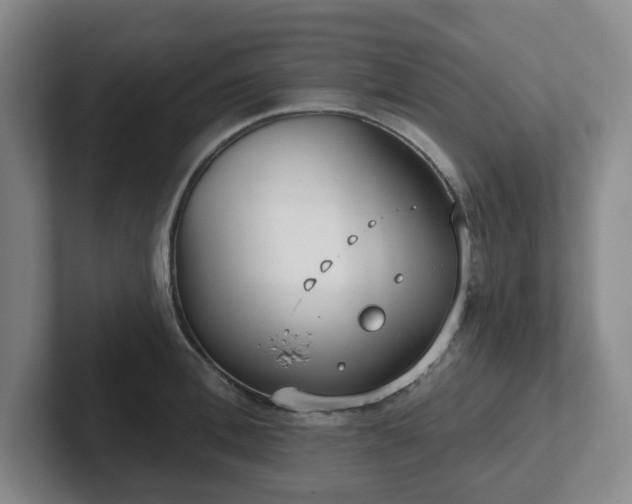 X0000102530996200808151551