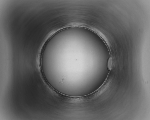 X0000102530997200808151551