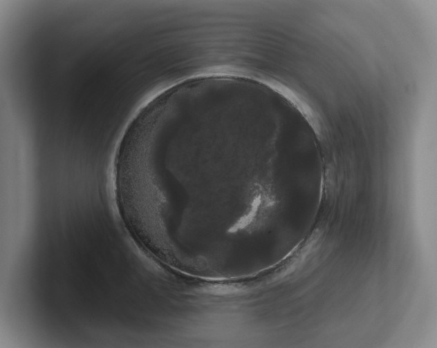 X0000102530998200808151551