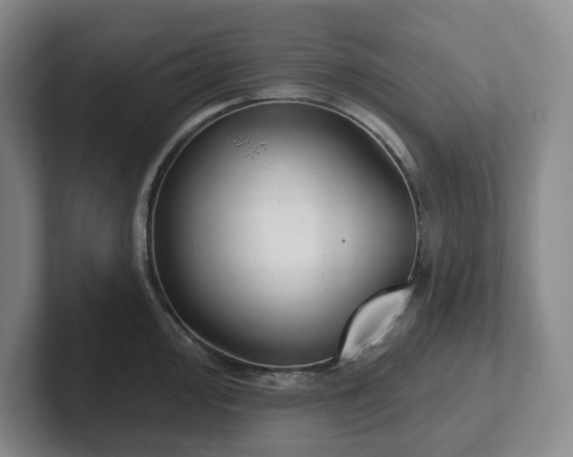 X0000102531000200808151551