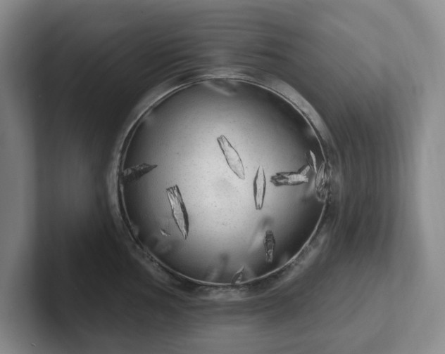 X0000102531002200808151551