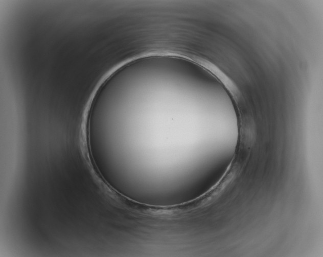 X0000102531004200808151551