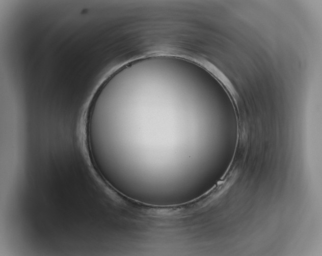 X0000102531005200808151551