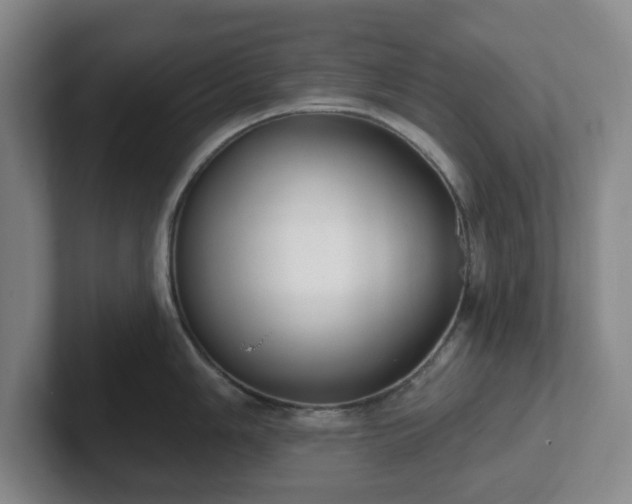 X0000102531006200808151551