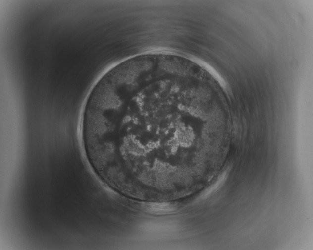 X0000102531007200808151551