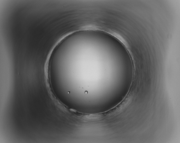 X0000102531008200808151551