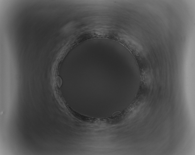 X0000102531009200808151550