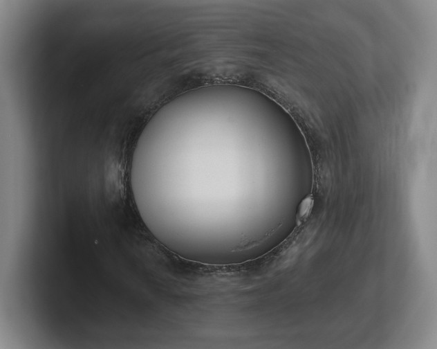 X0000102531010200808151550