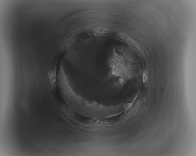 X0000102531011200808151550