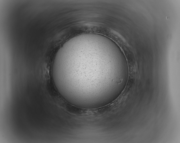 X0000102531013200808151550