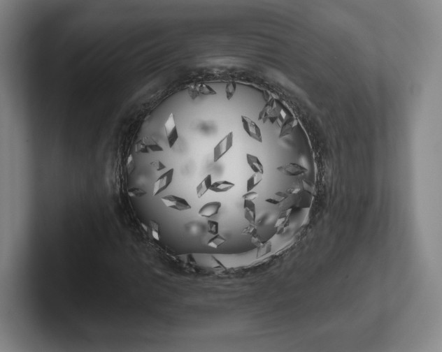 X0000102531014200808151550
