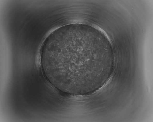 X0000102531019200808151550