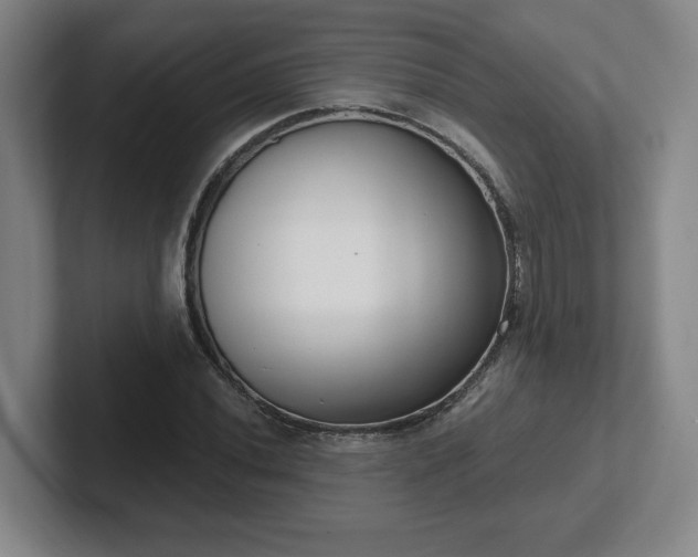 X0000102531020200808151550