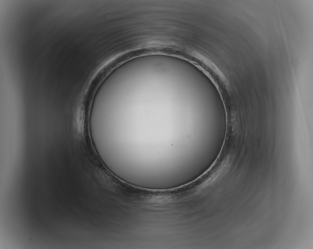 X0000102531021200808151550