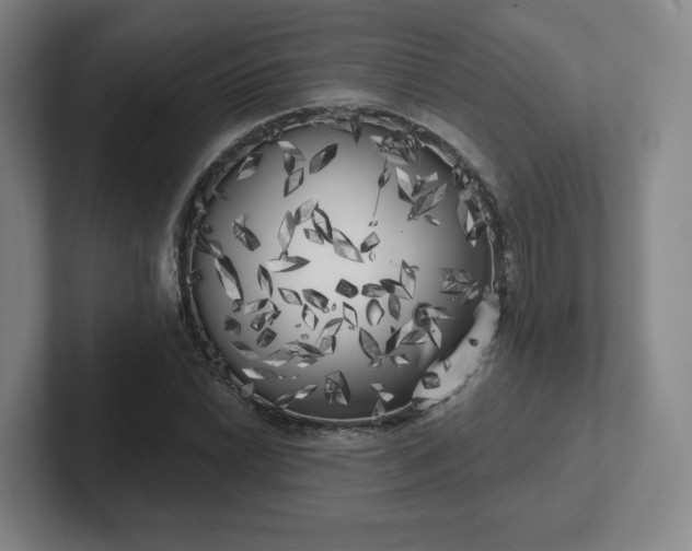X0000102531022200808151550