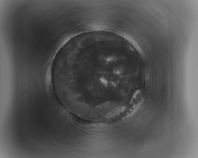 X0000102531023200808151550