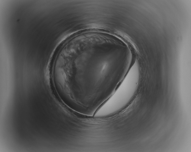 X0000102531024200808151551