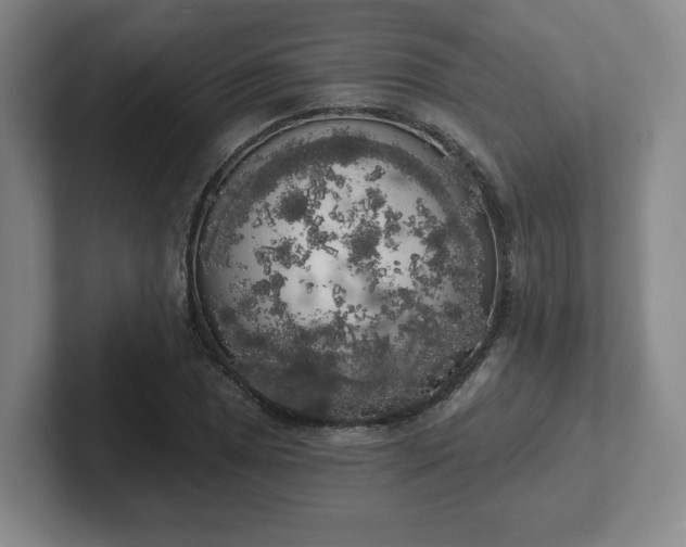 X0000102531025200808151551