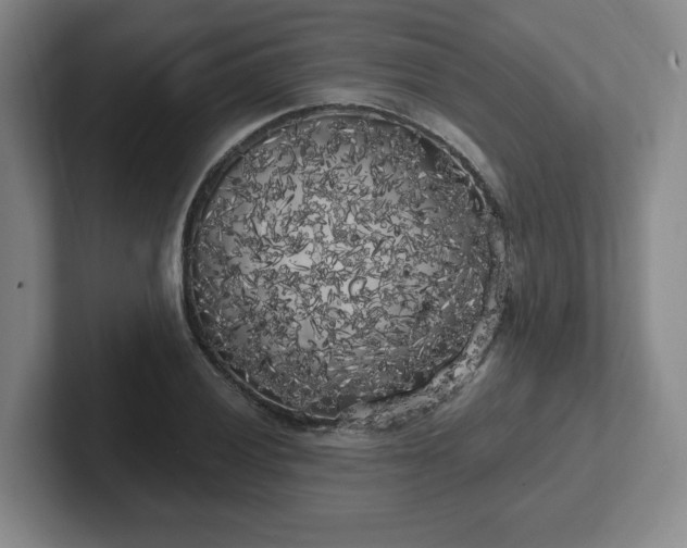 X0000102531028200808151551