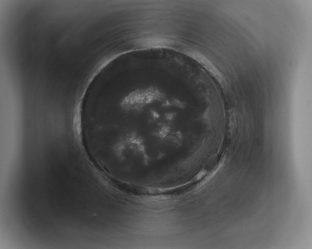 X0000102531031200808151551