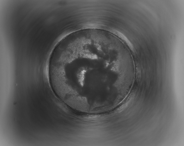 X0000102531035200808151551