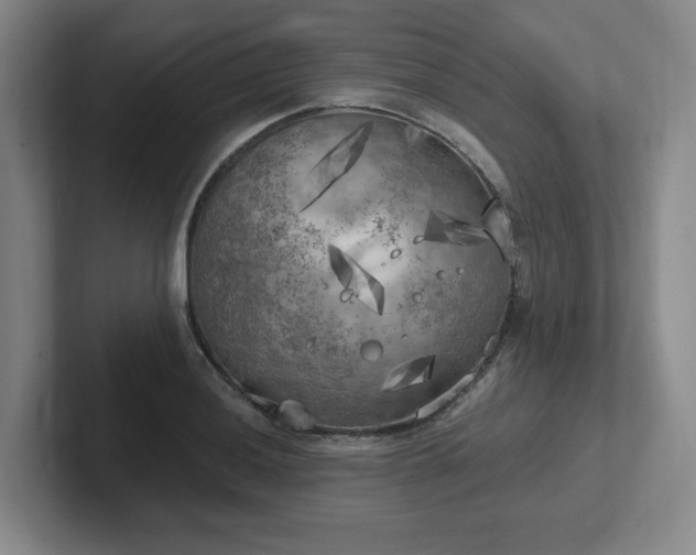 X0000102531036200808151551