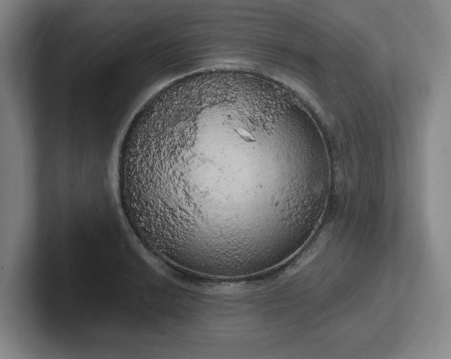 X0000102531038200808151551