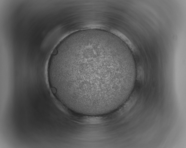 X0000102531039200808151551