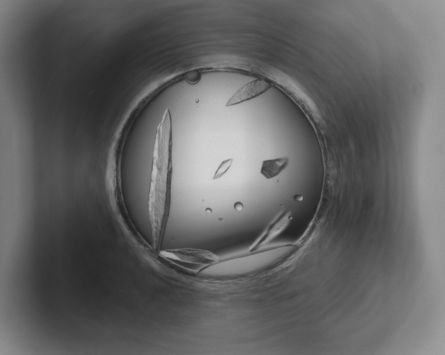 X0000102531040200808151551