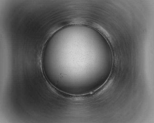 X0000102531041200808151551