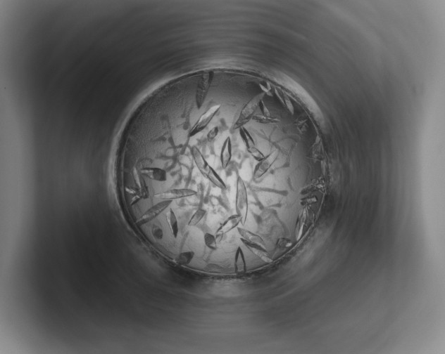 X0000102531043200808151551