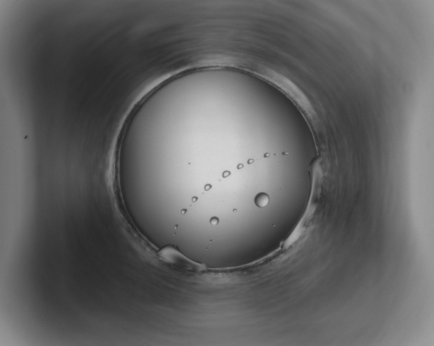 X0000102531044200808151551