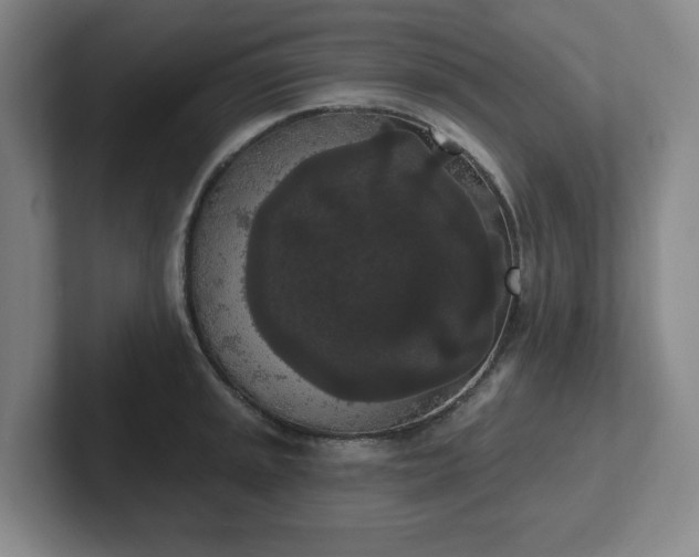 X0000102531045200808151551