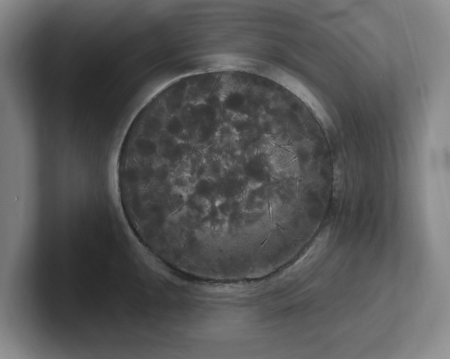 X0000102531047200808151551
