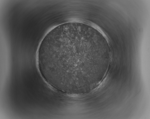 X0000102531048200808151551