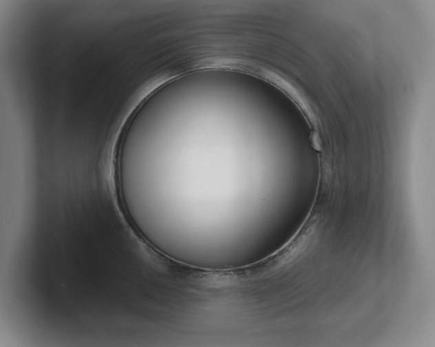 X0000102531050200808151551