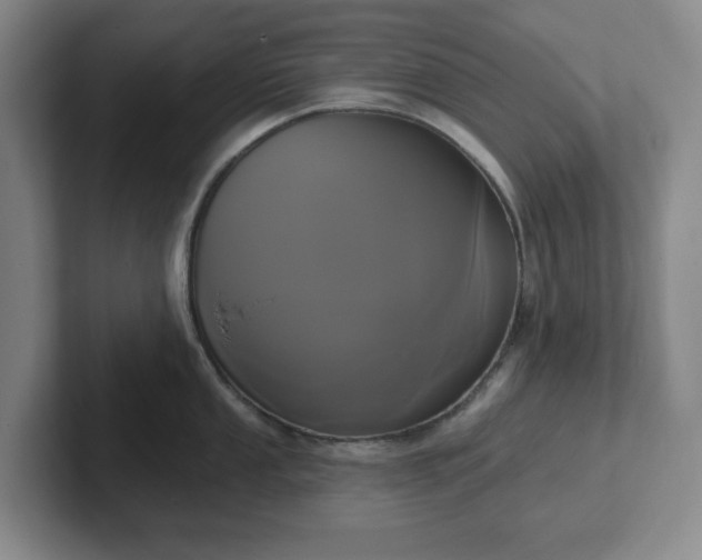 X0000102531053200808151551