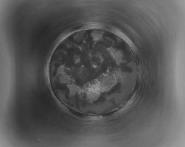 X0000102531055200808151551