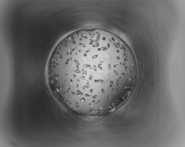 X0000102531056200808151551